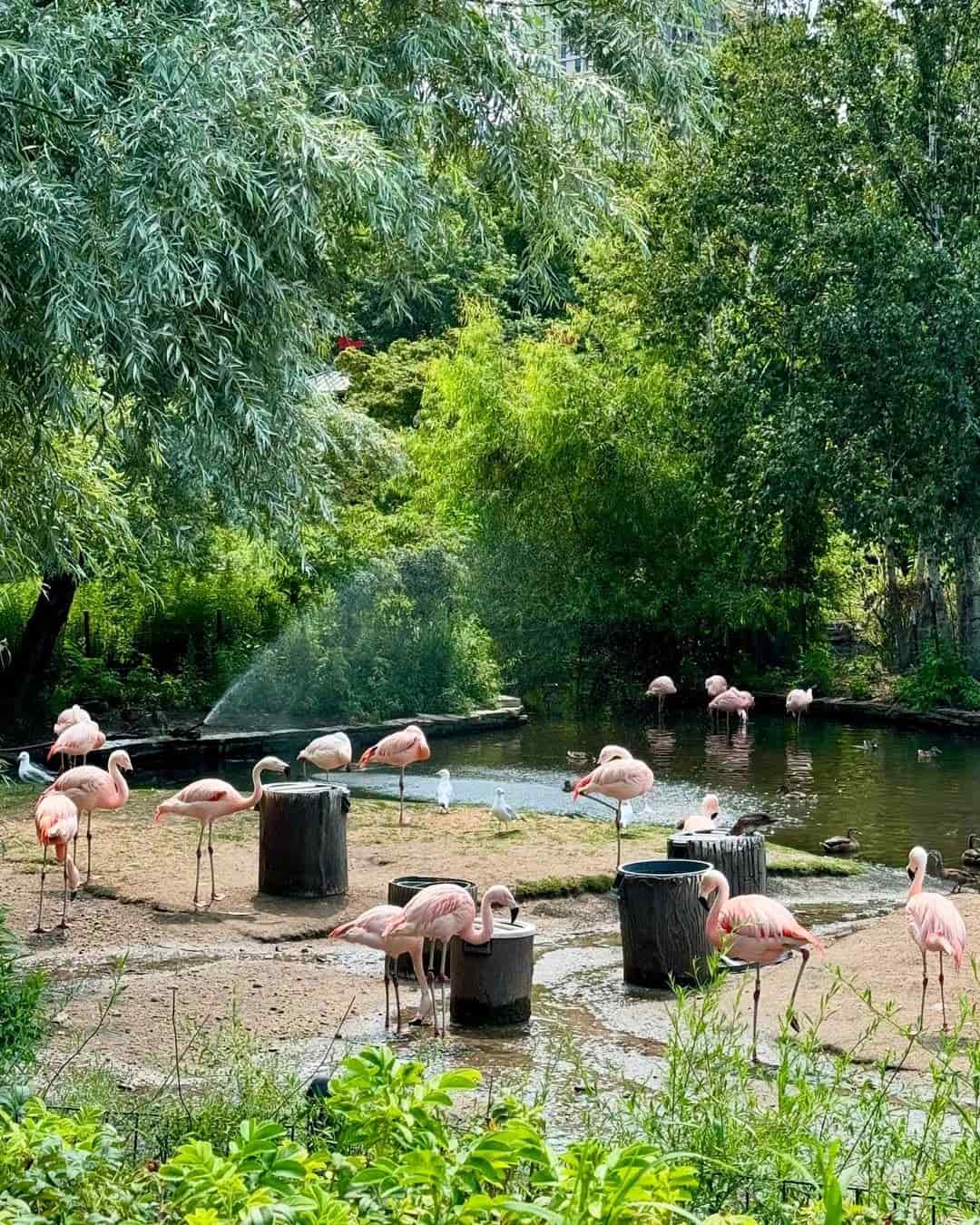 Lincoln Park, Chicago Lincoln Park, Chicago