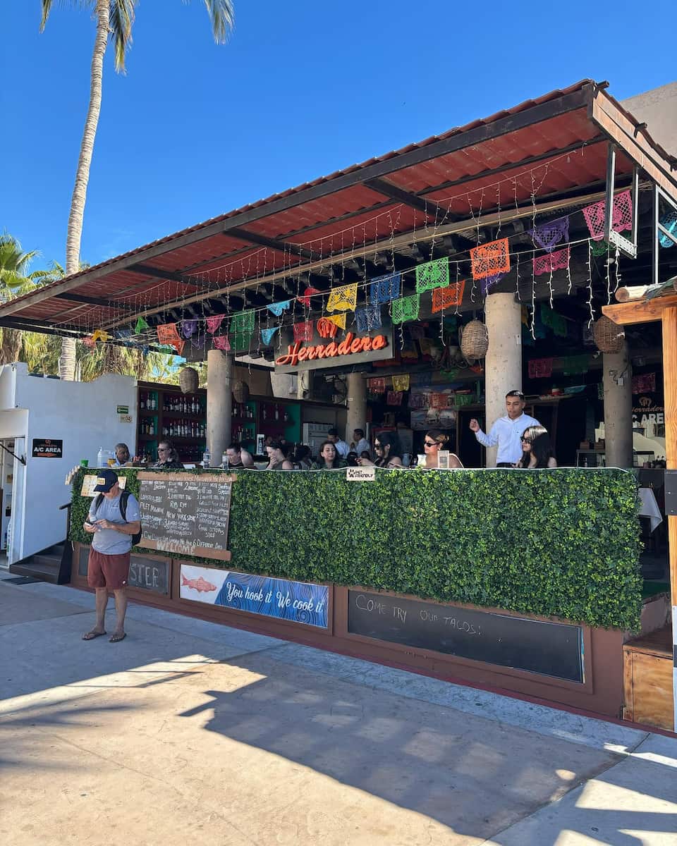 Marina Area, Los Cabos Marina Area, Los Cabos