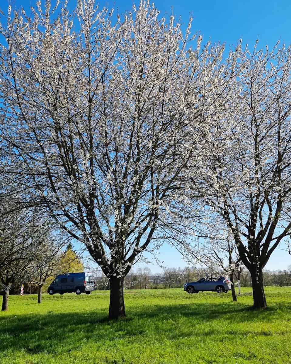 Möhringen, Germany Möhringen, Germany