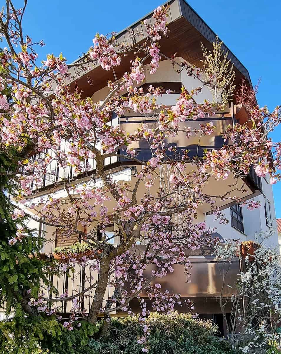 Möhringen, Germany Möhringen, Germany