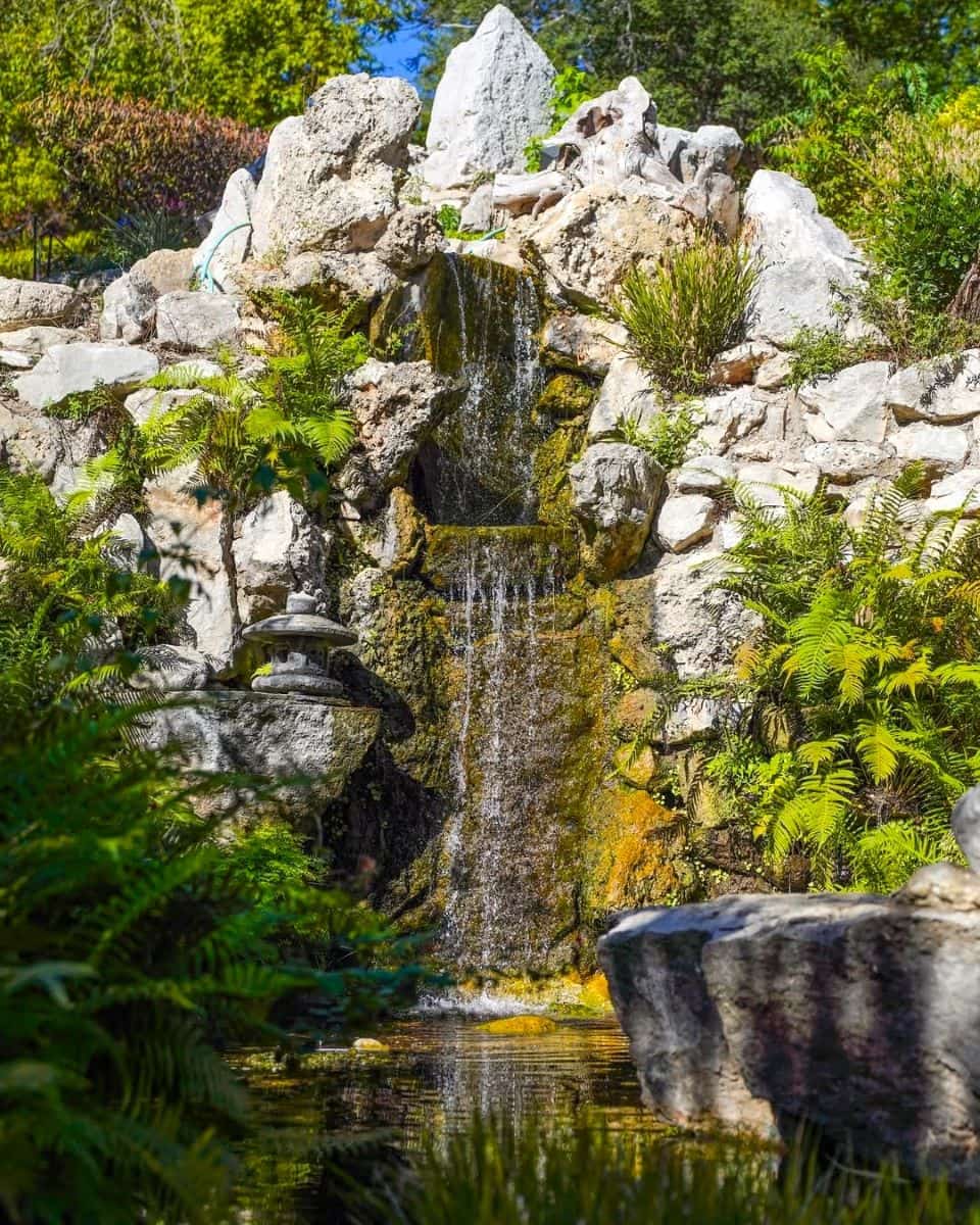 North Loop Austin North Loop Austin