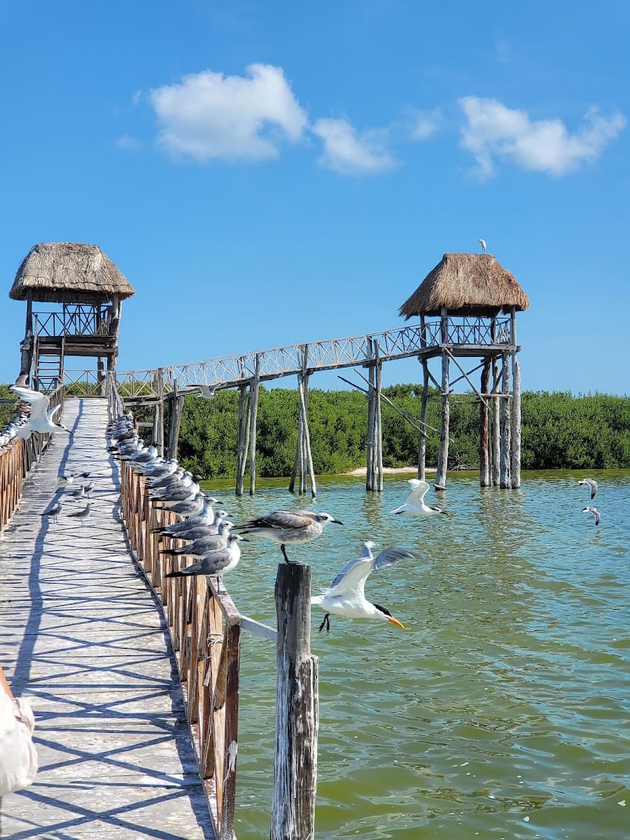 Playa del Carmen, Riviera Maya Playa del Carmen, Riviera Maya