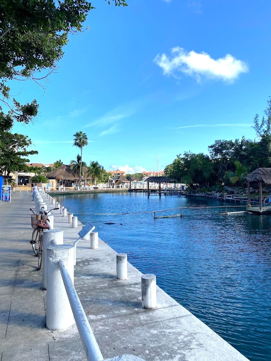 Puerto Aventuras, Riviera Maya Puerto Aventuras, Riviera Maya