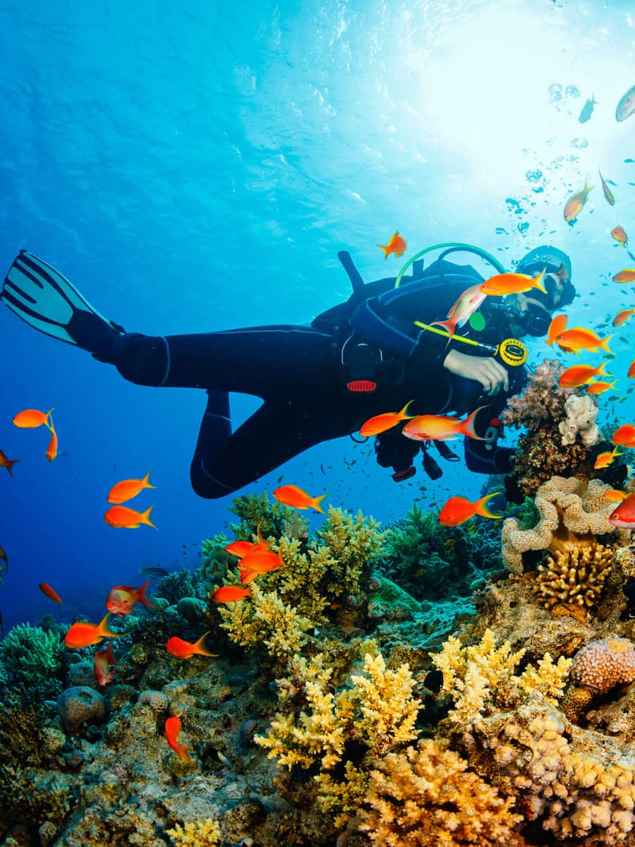 Reef National Park, Puerto Morelos, Riviera Maya Reef National Park, Puerto Morelos, Riviera Maya