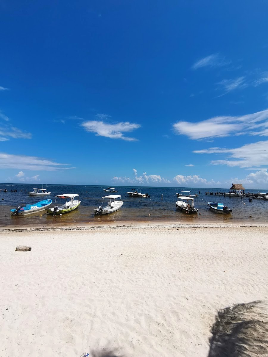 Reef National Park, Puerto Morelos, Riviera Maya Reef National Park, Puerto Morelos, Riviera Maya