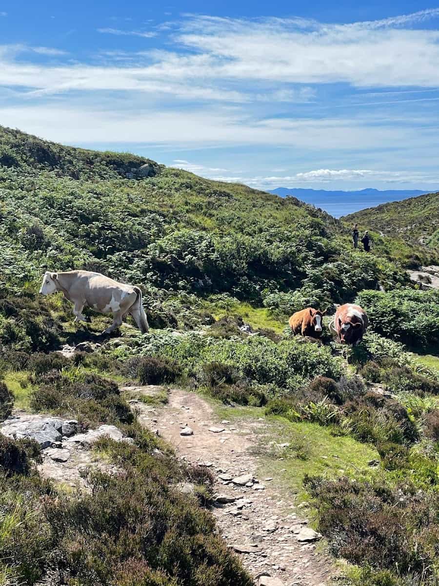 Sleat Peninsula, Isle of Skye Sleat Peninsula, Isle of Skye