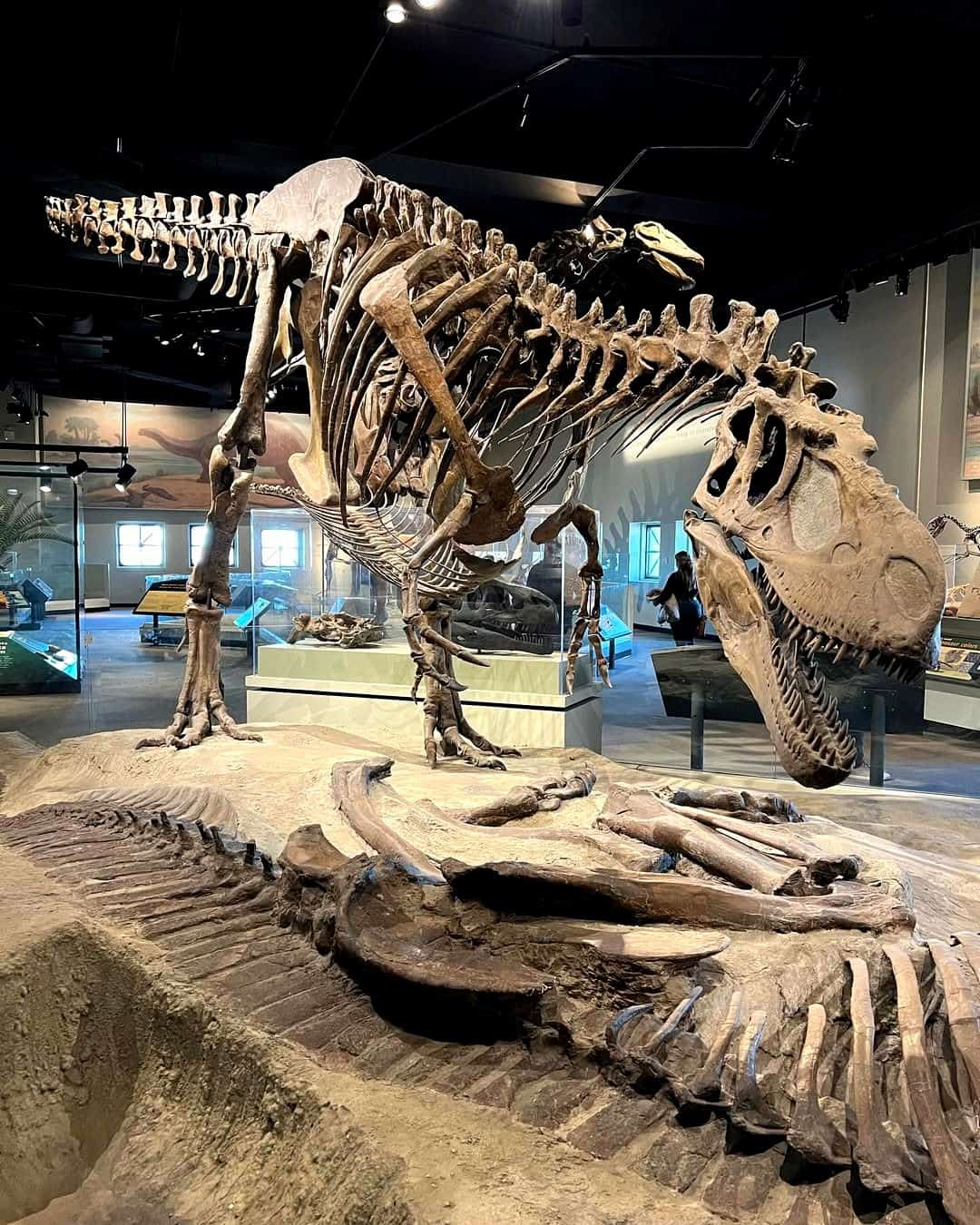 South Loop, Chicago South Loop, Chicago