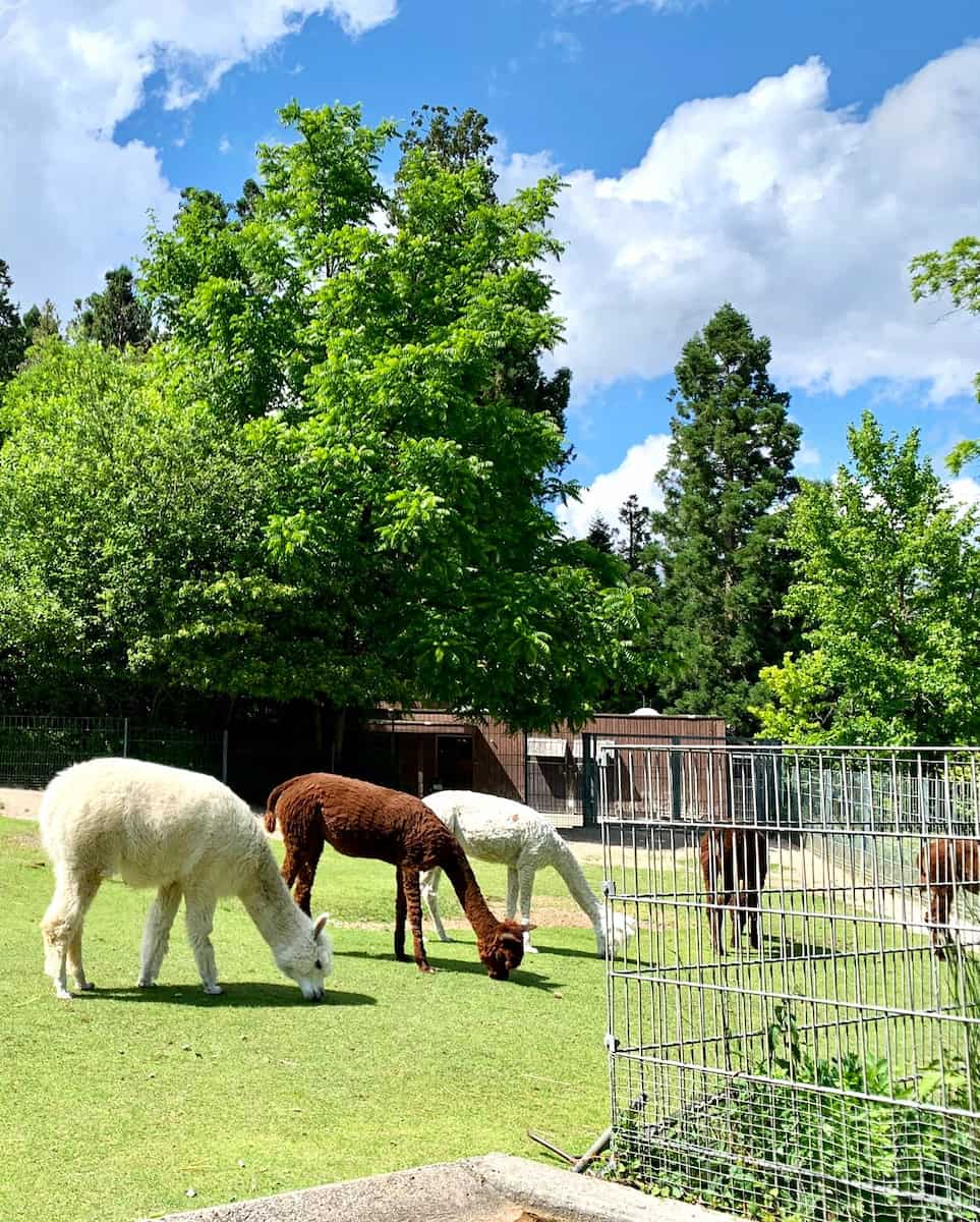 Stuttgart Wilhelma Zoo, Germany Stuttgart Wilhelma Zoo, Germany