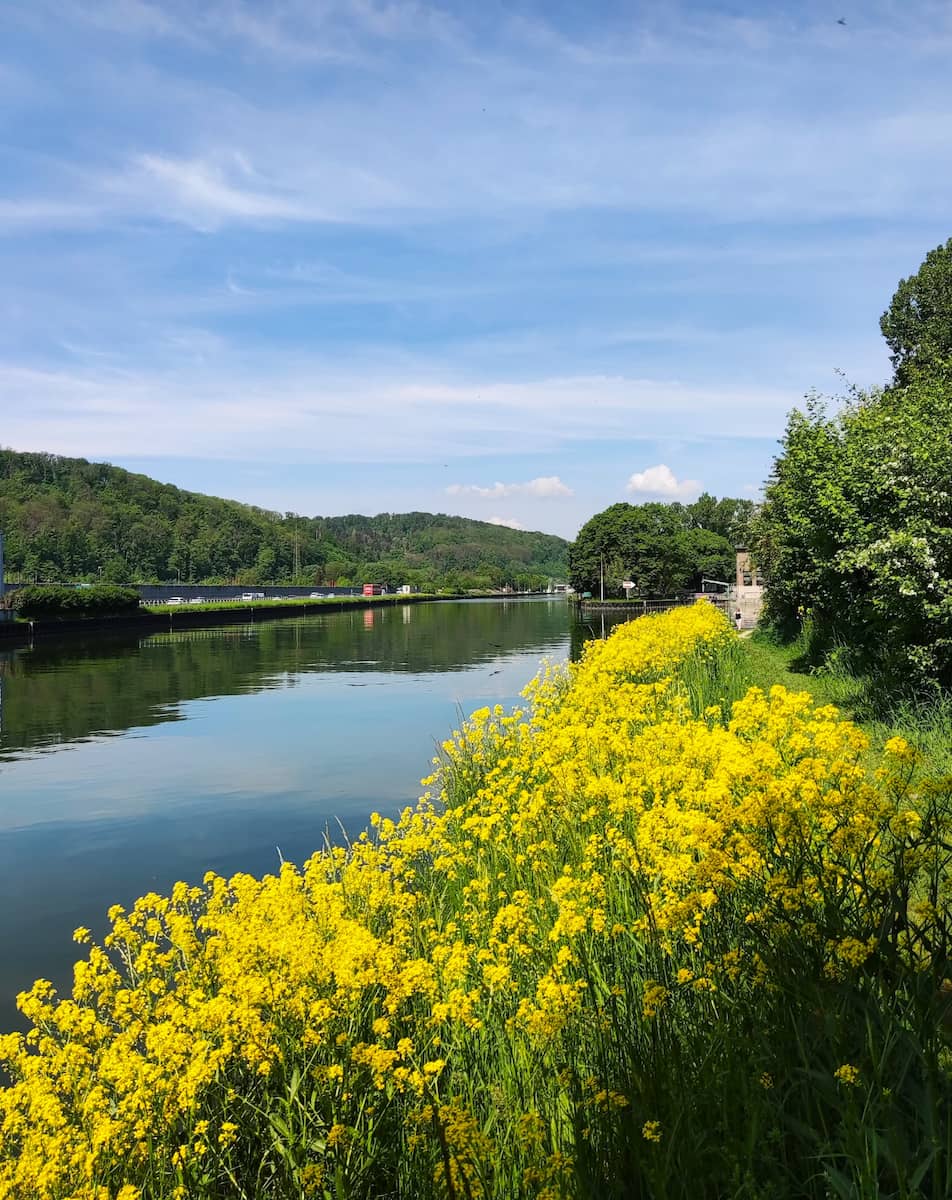 The Neckar River, Germany The Neckar River, Germany