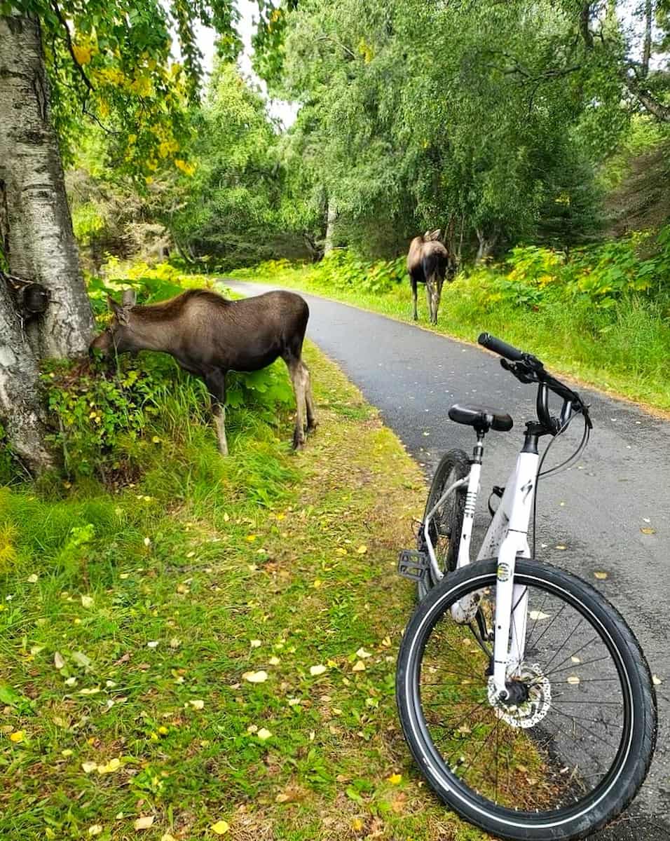 Tony Knowles Coastal Trail, Alaska Tony Knowles Coastal Trail, Alaska