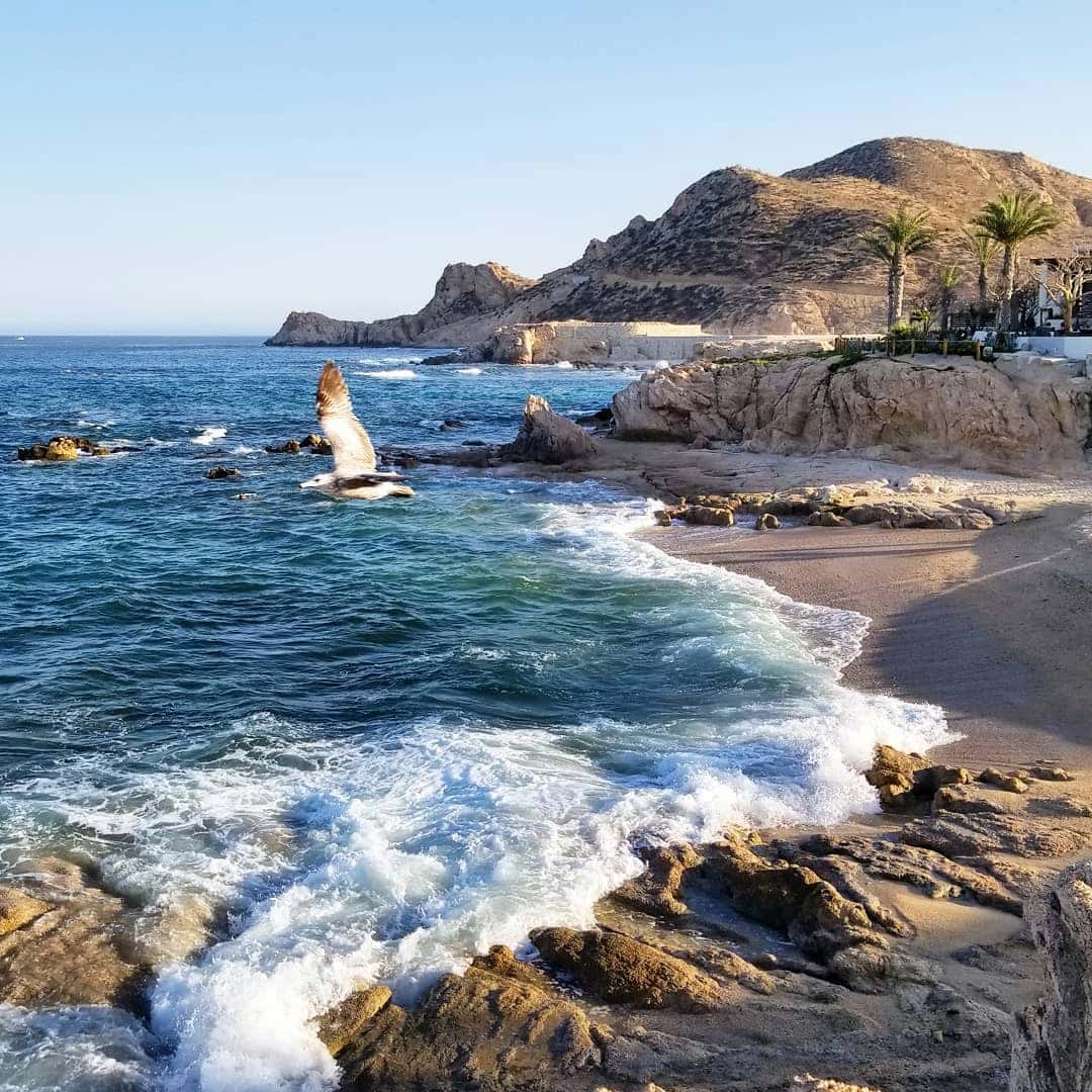 Tourist Corridor, Los Cabos Tourist Corridor, Los Cabos
