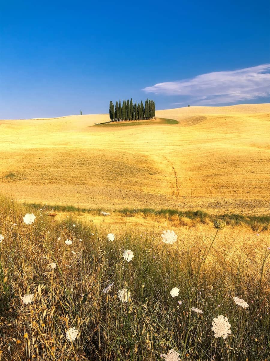 Val d'Orcia Natural Park, Val d'Orcia, Tuscany Val d'Orcia Natural Park, Val d'Orcia, Tuscany