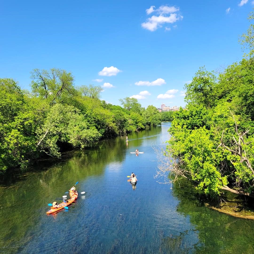 Zilker Austin Zilker Austin