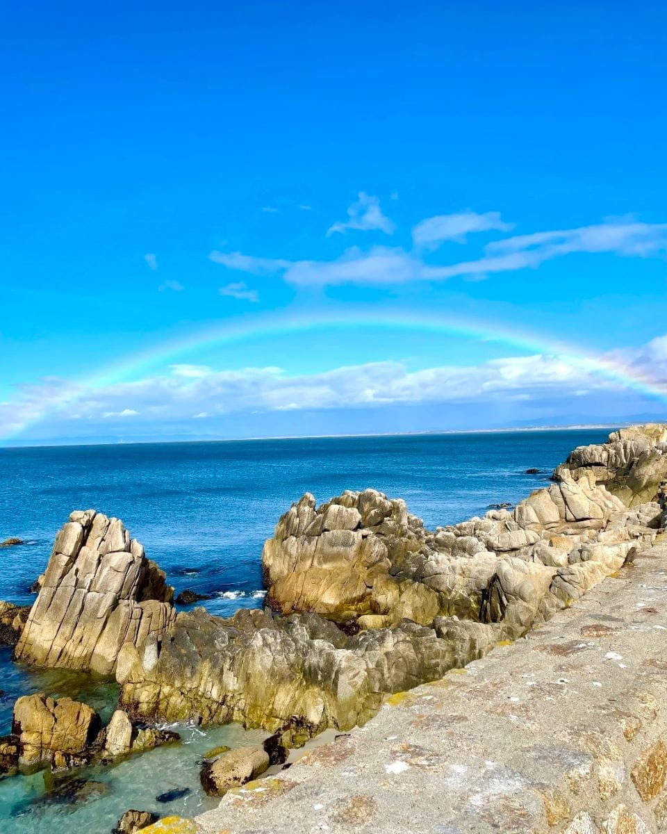 Zilker Austin Zilker Austin