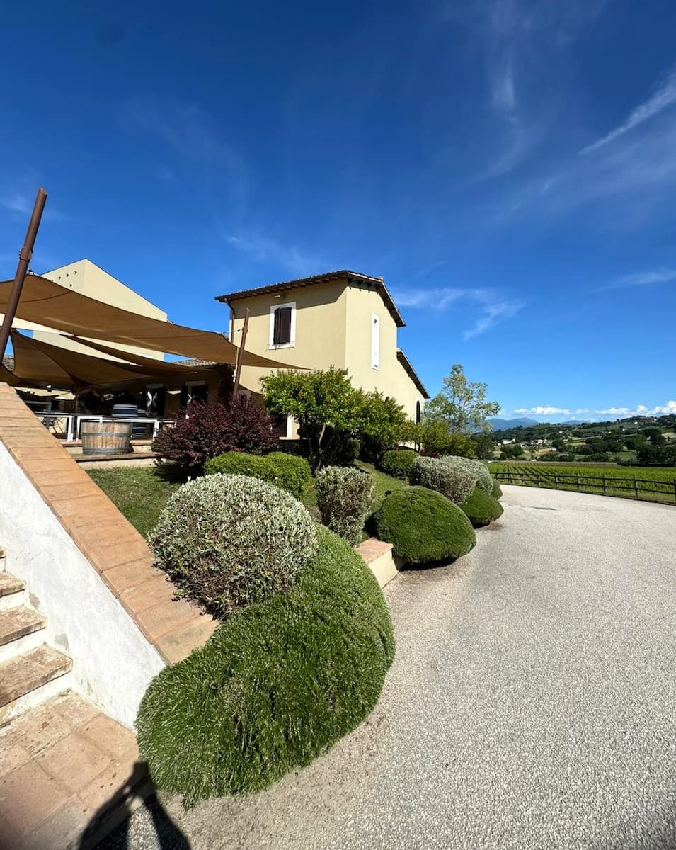 Arnaldo Caprai in Montefalco, Italy Arnaldo Caprai in Montefalco, Italy