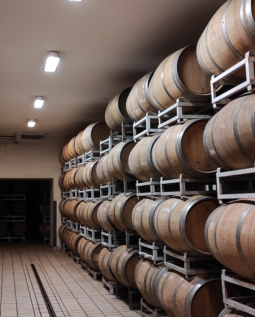 Arnaldo Caprai in Montefalco, Italy Arnaldo Caprai in Montefalco, Italy