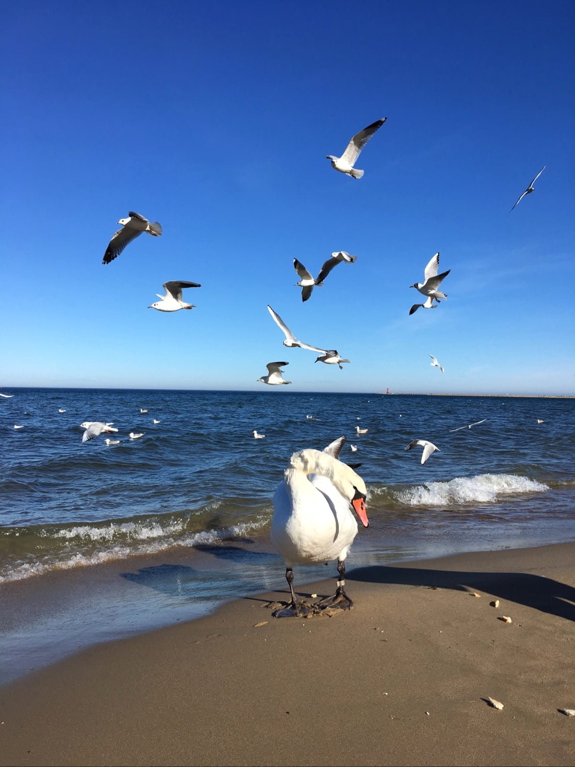 Brzeźno Gdansk Brzeźno Gdansk