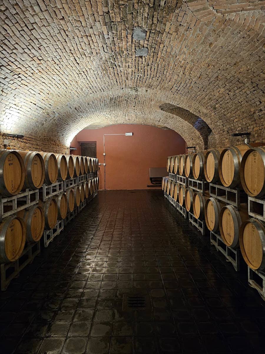 GAJA, Piemonte GAJA, Piemonte