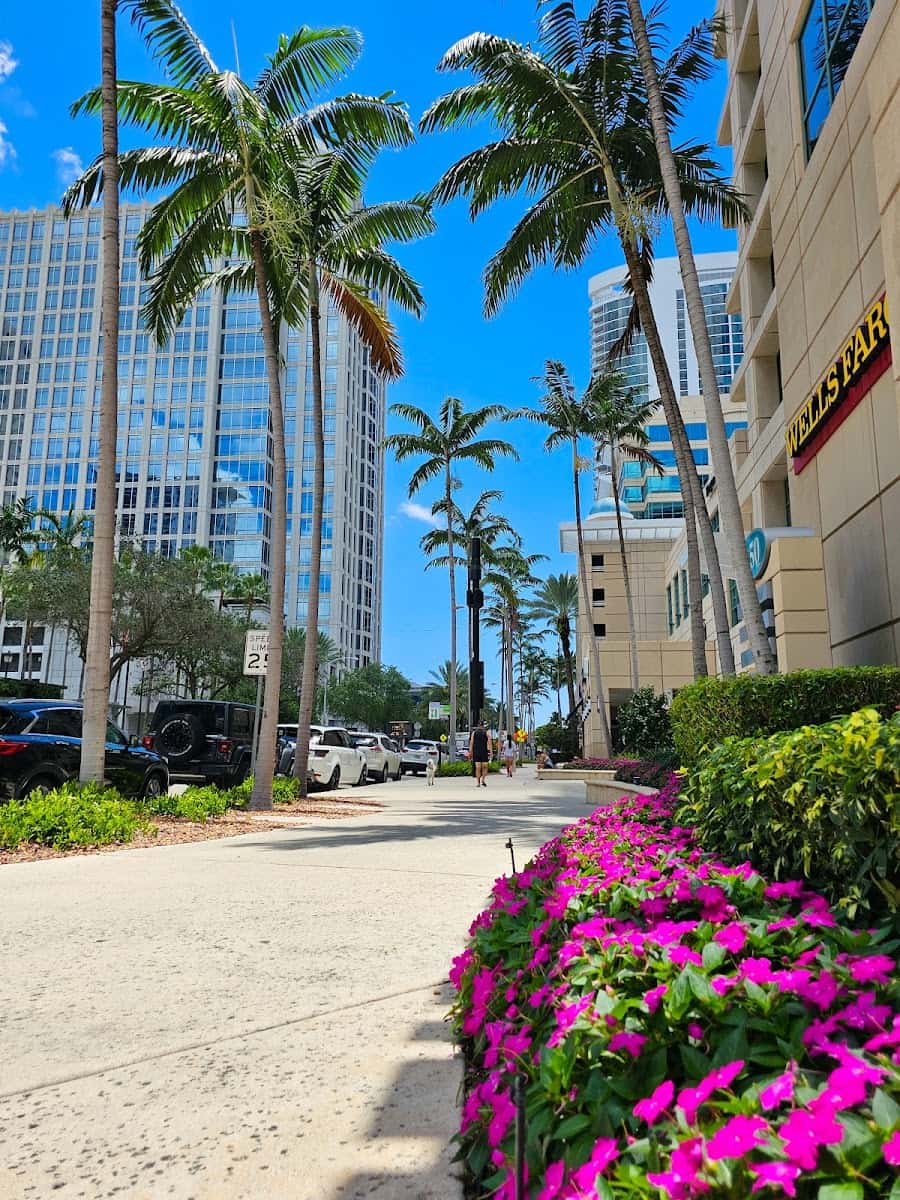 Las Olas Boulevard, Fort Lauderdale Las Olas Boulevard, Fort Lauderdale