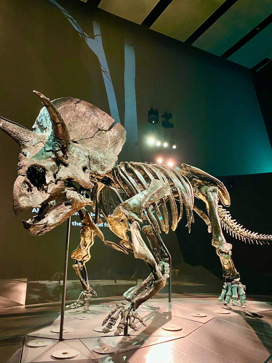 Melbourne Museum, Australia Melbourne Museum, Australia