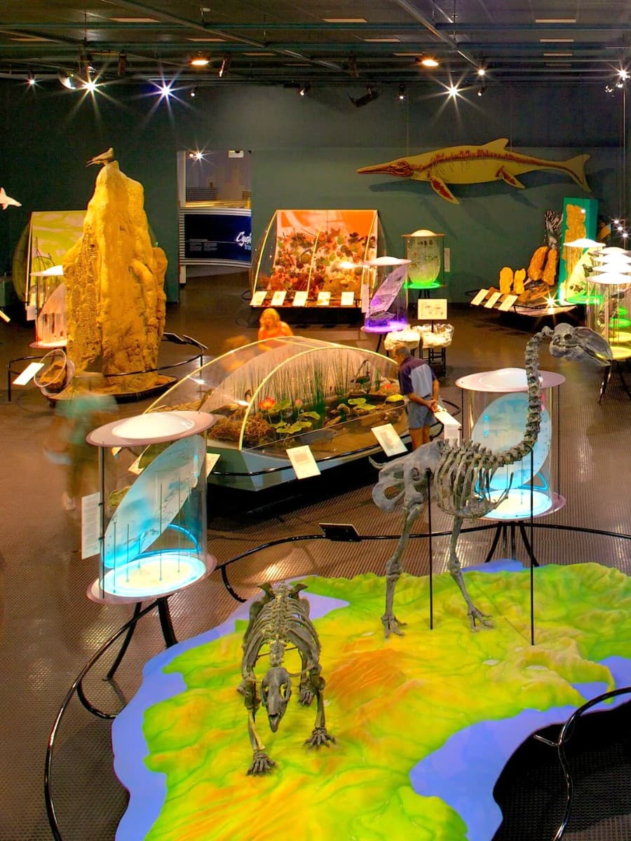 Museum and Art Gallery of the Northern Territory, Australia Museum and Art Gallery of the Northern Territory, Australia