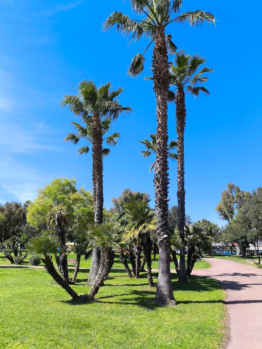 Parco Fausto Noce, Olbia Parco Fausto Noce, Olbia