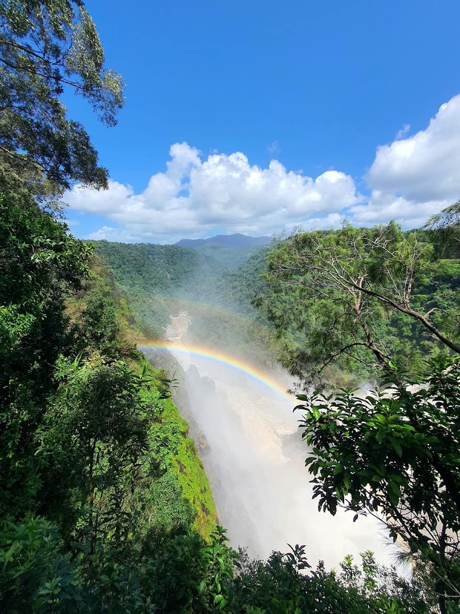 Skyrail Rainforest Cableway, Australia Skyrail Rainforest Cableway, Australia