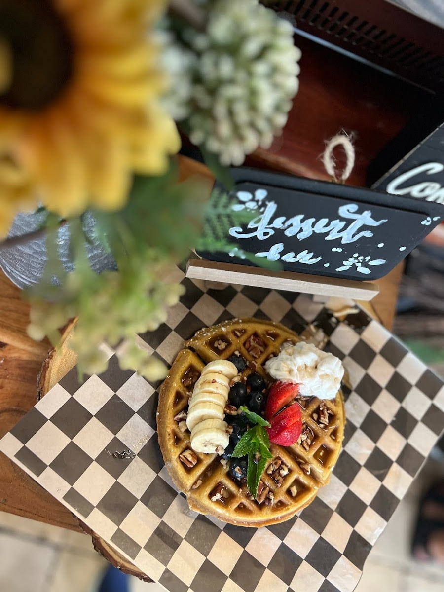 The Alchemist Café, Fort Lauderdale The Alchemist Café, Fort Lauderdale