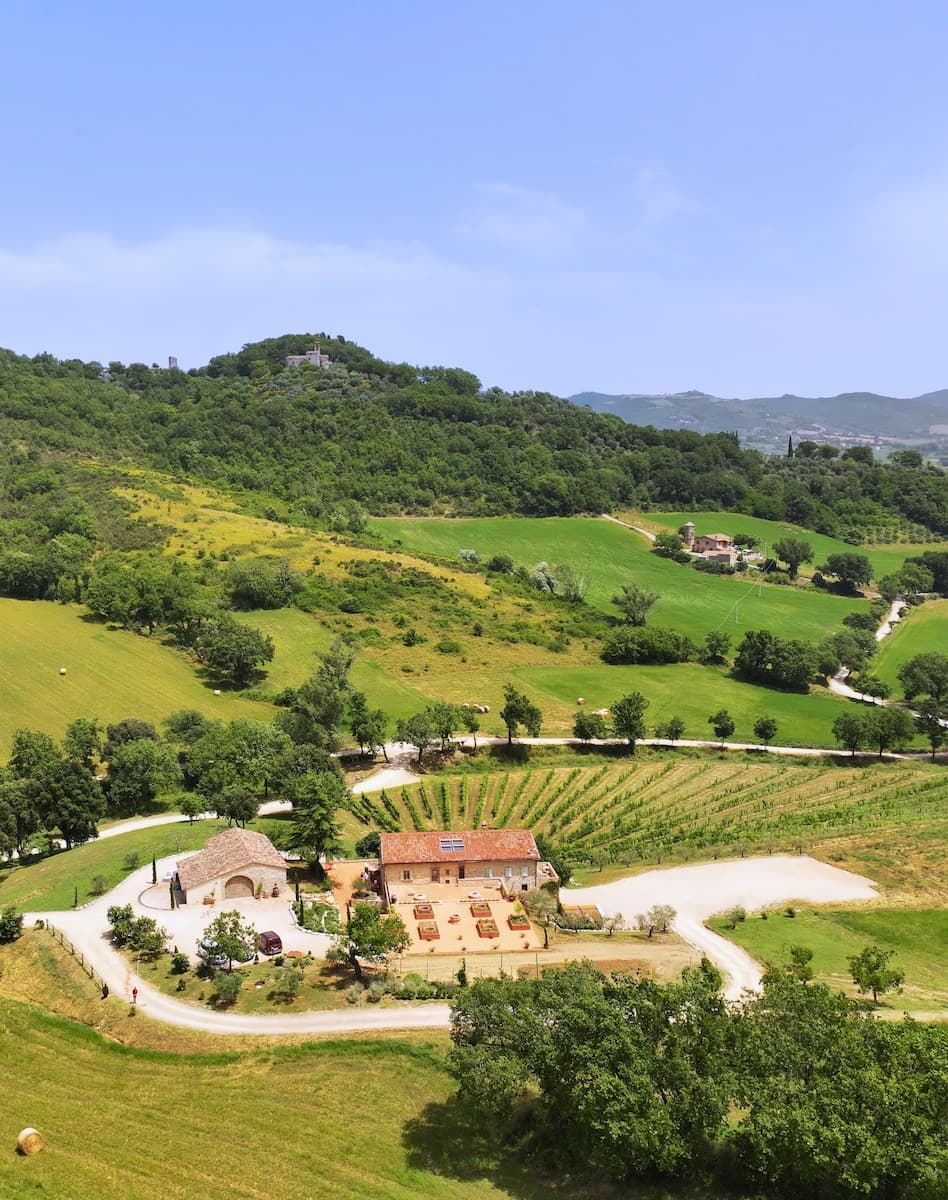Vineyard, Perugia Vineyard, Perugia