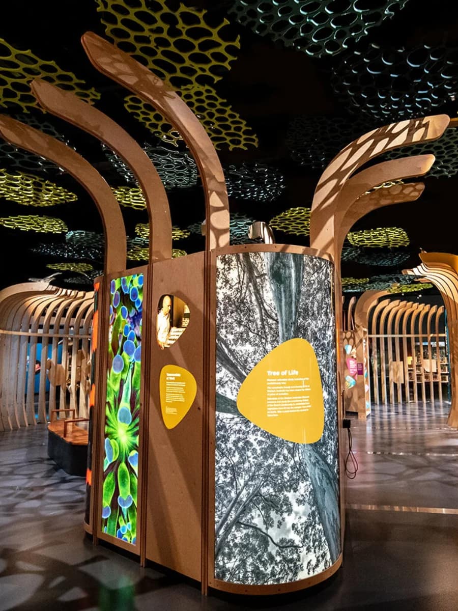 WA Museum Boola Bardip, Australia WA Museum Boola Bardip, Australia