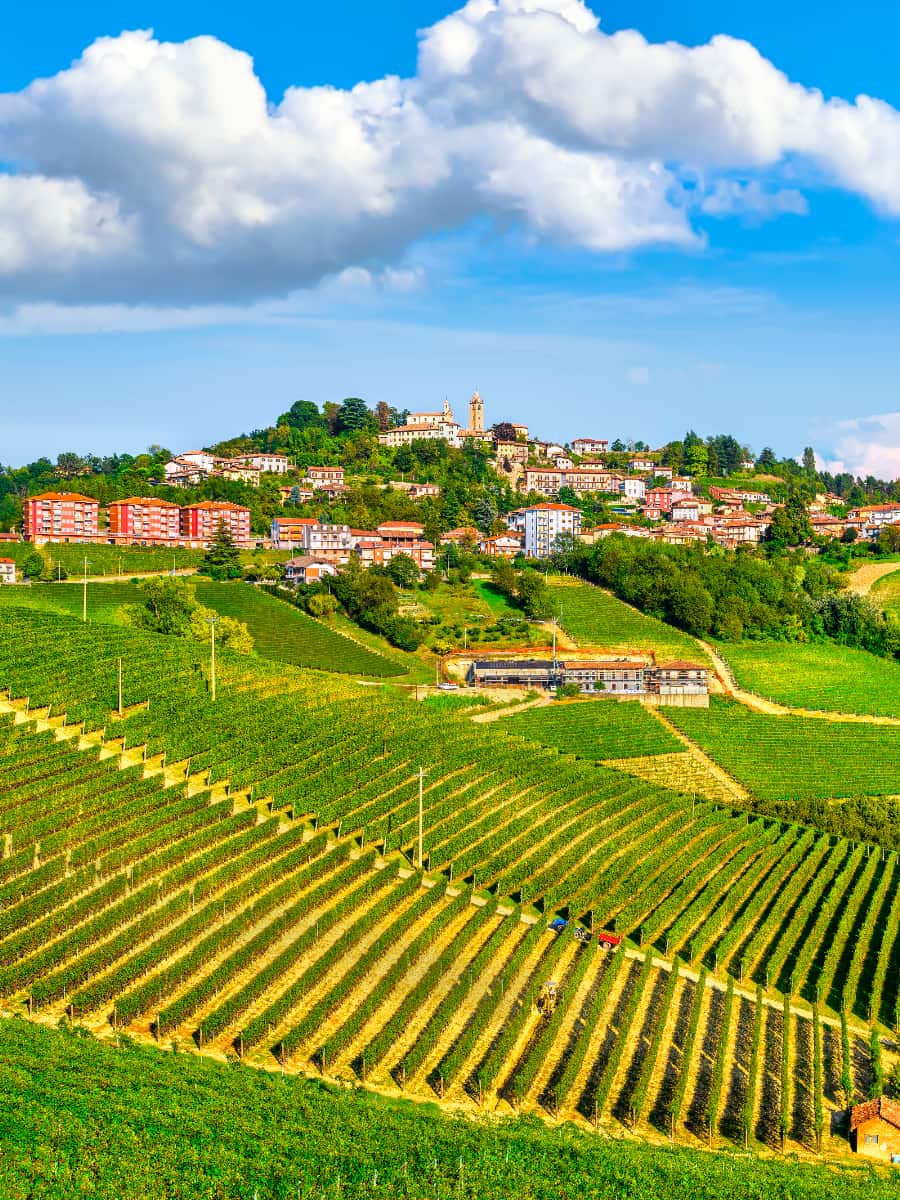 Wine Tour, Alba, Piemonte Wine Tour, Alba, Piemonte