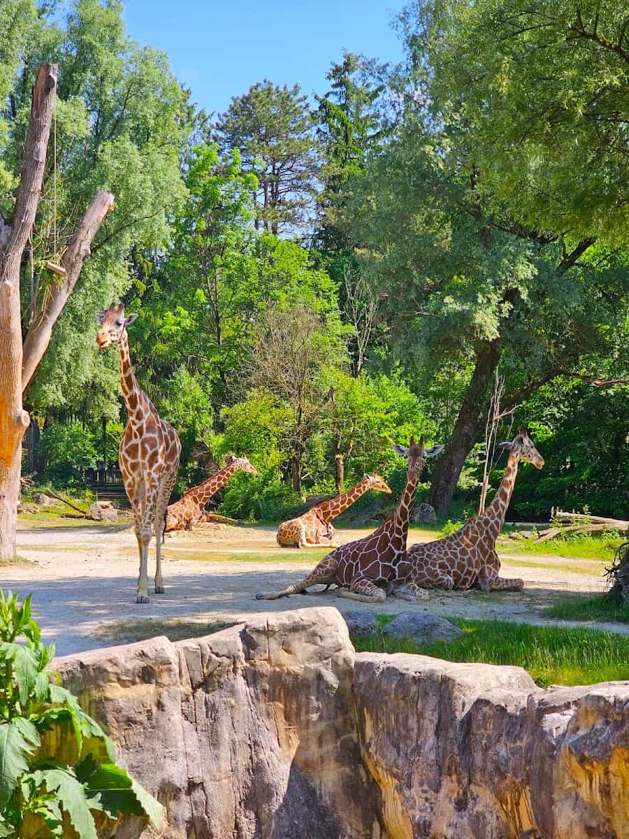 ZOOPARK, Munich ZOOPARK, Munich