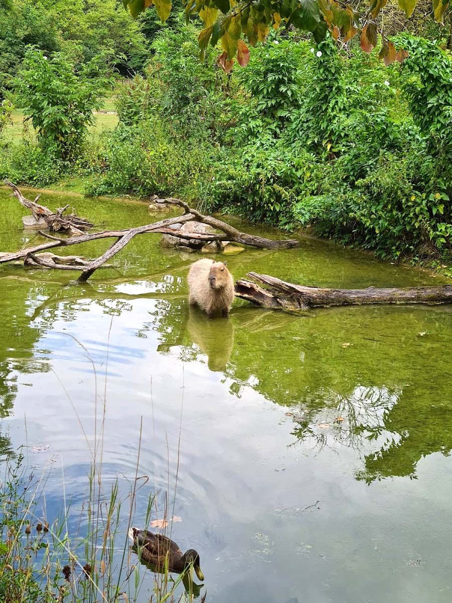 ZOOPARK, Munich ZOOPARK, Munich