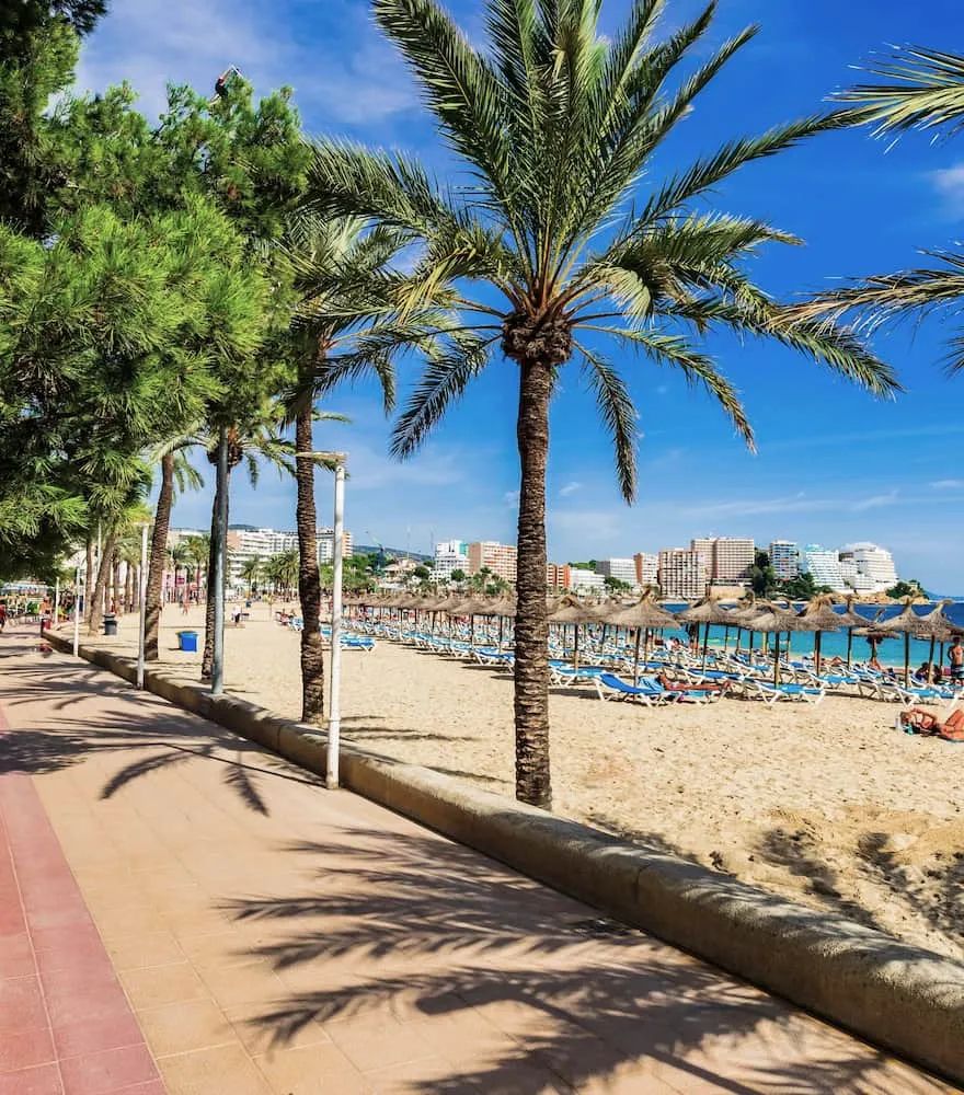 palma nova palma nova