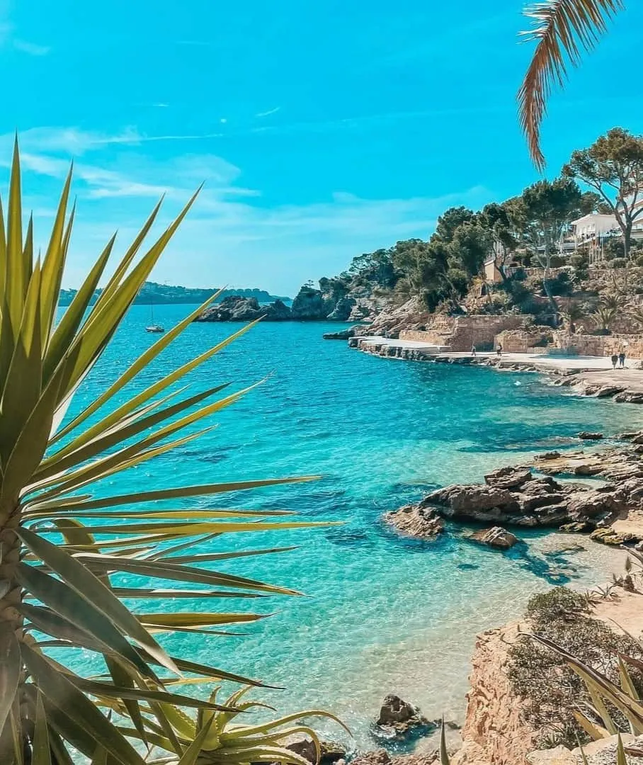 Pegera, Mallorca Pegera, Mallorca