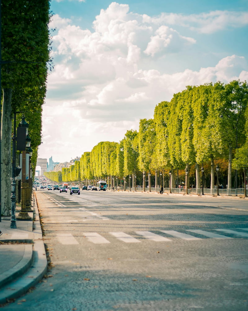 Champs Elysees Champs Elysees