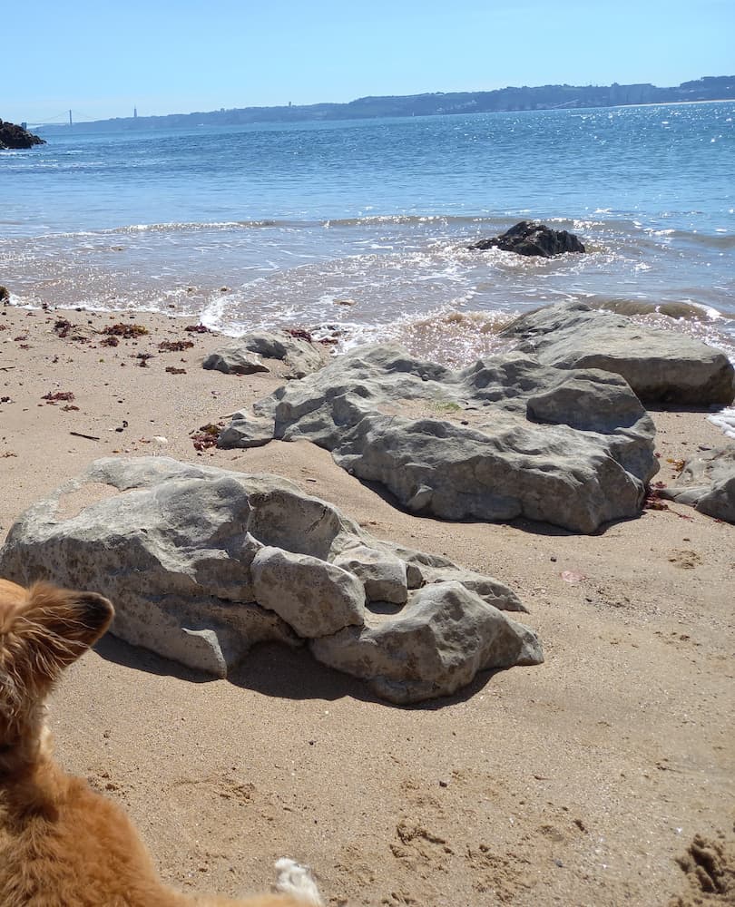 Praia de Caxias Praia de Caxias