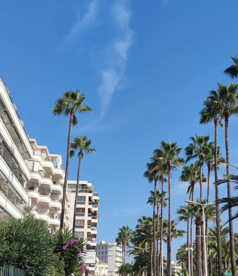 La Croisette La Croisette