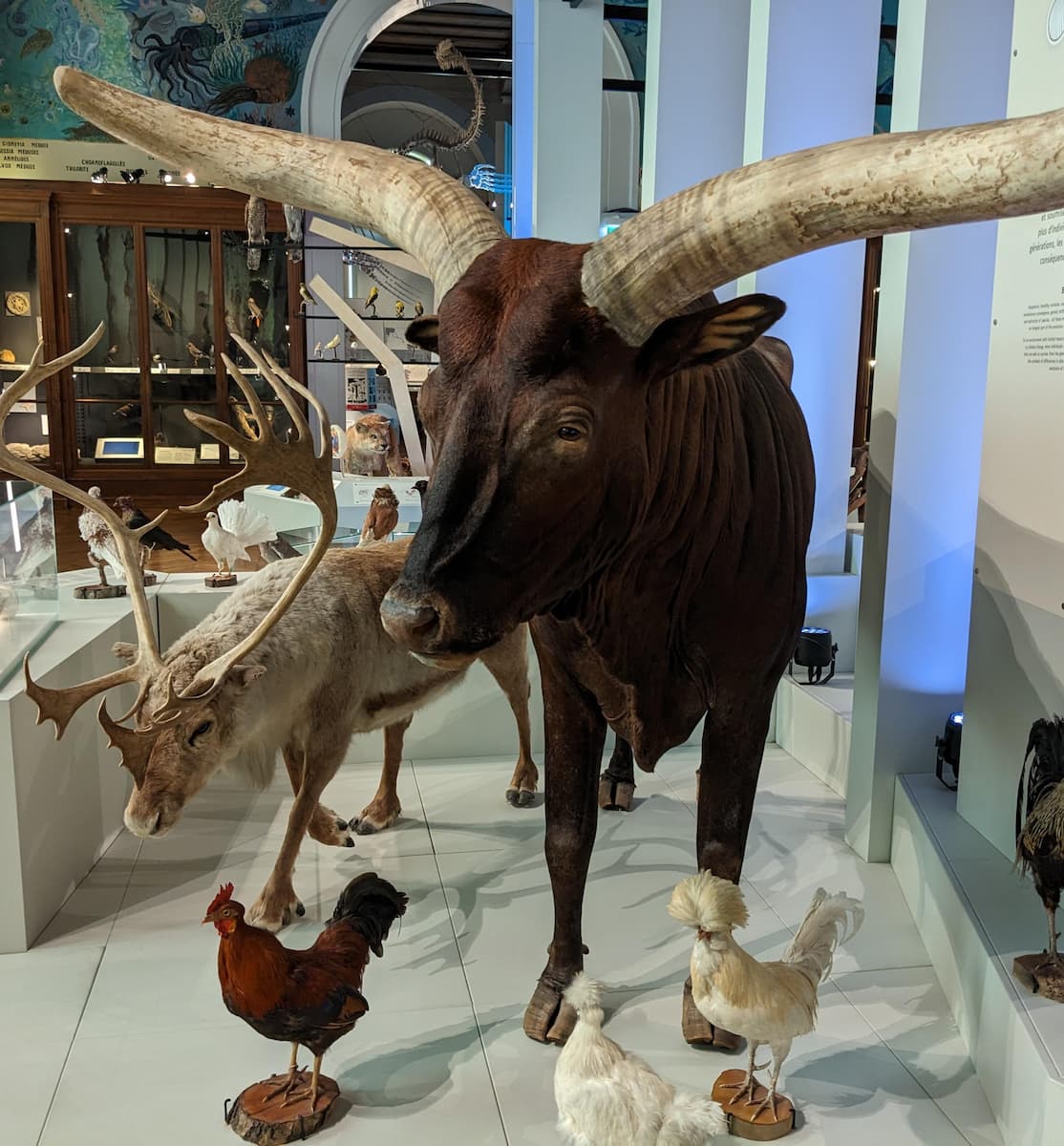 Natural History Museum of Marseille Natural History Museum of Marseille