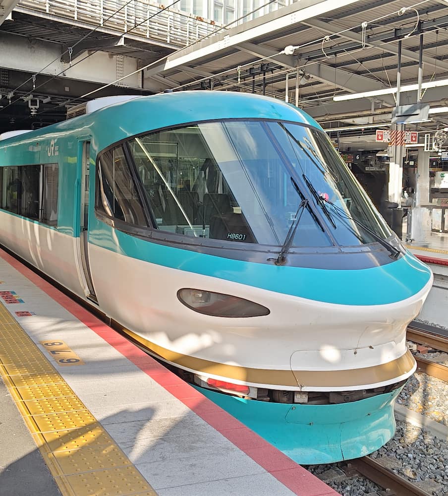 Shin-Osaka Station Shin-Osaka Station