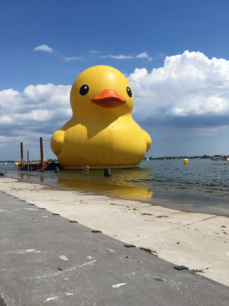 Harbourfront & Distillery District Harbourfront & Distillery District