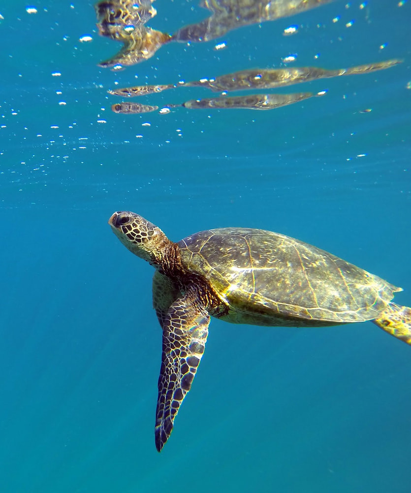 Kauai, Hawaii Kauai, Hawaii