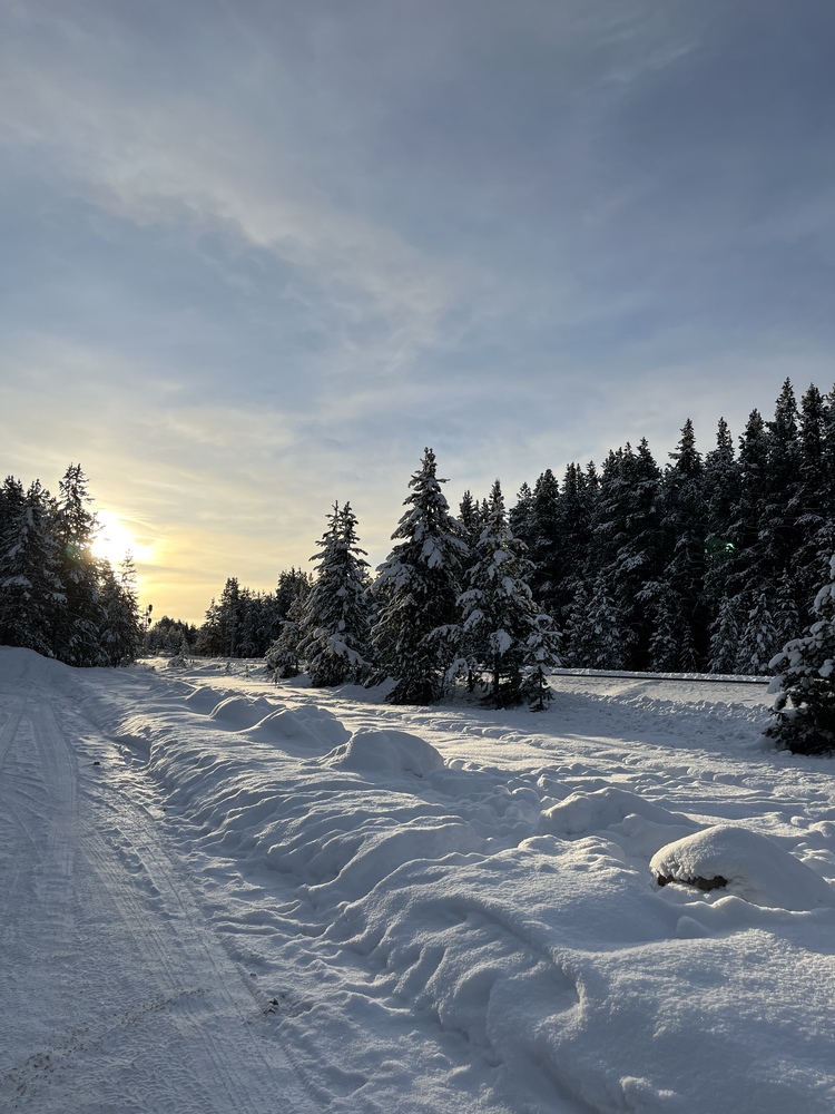 Lake Louise Ski Resort Lake Louise Ski Resort
