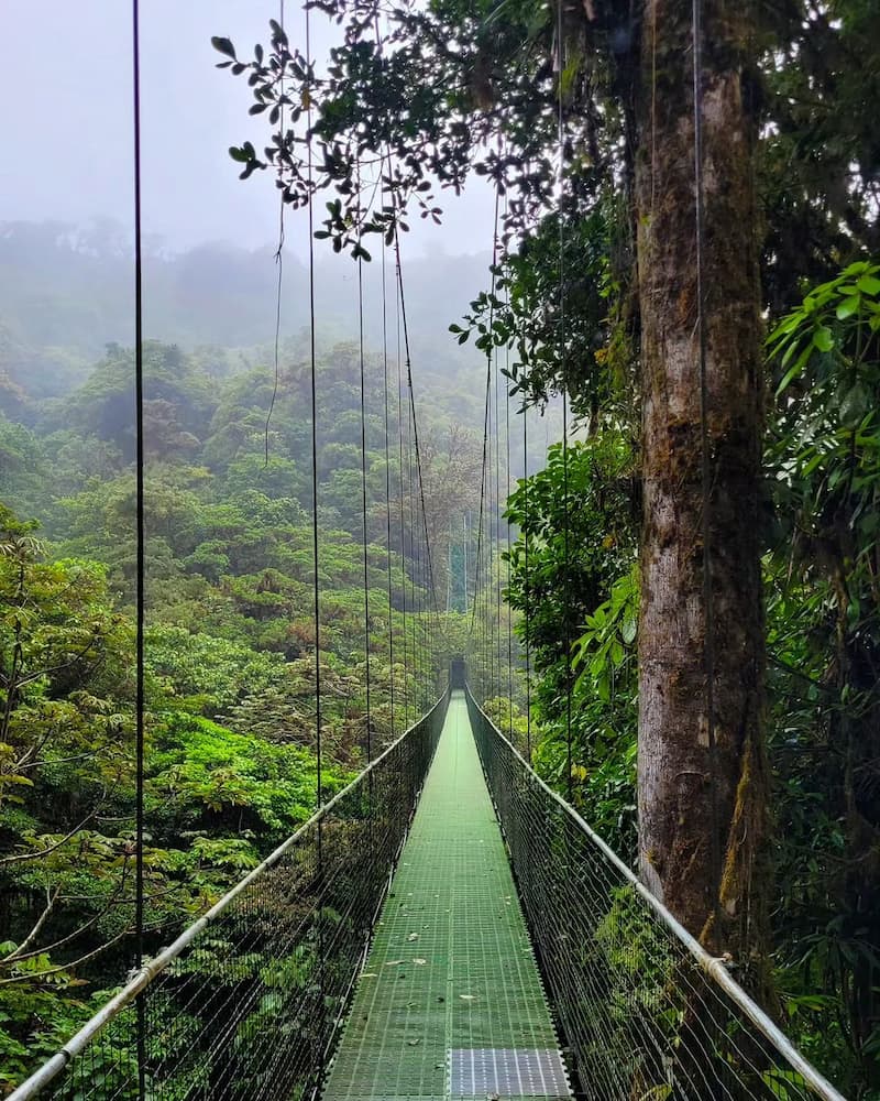 Sky Walk Monteverde Sky Walk Monteverde
