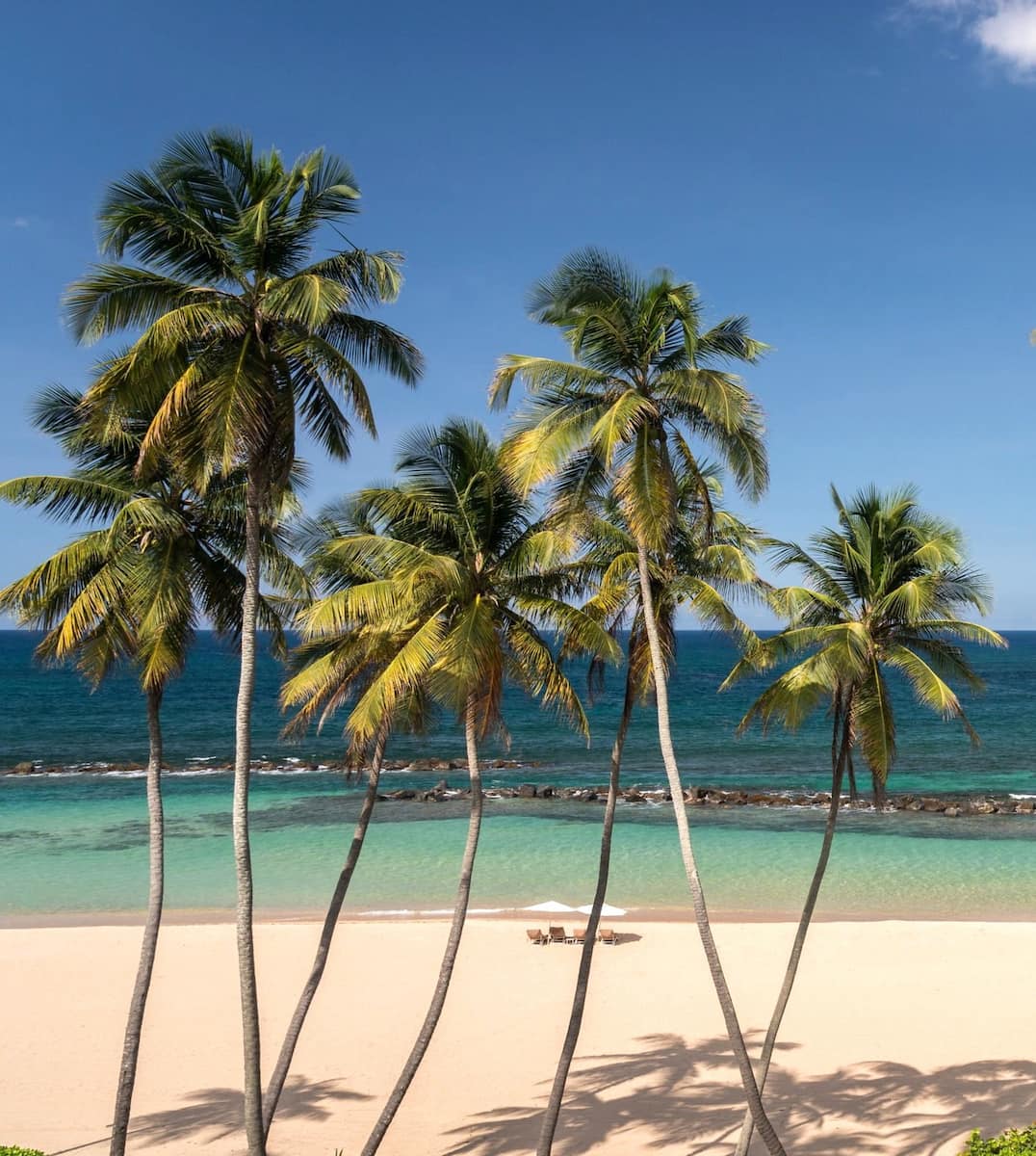 Dorado, Puerto Rico Dorado, Puerto Rico