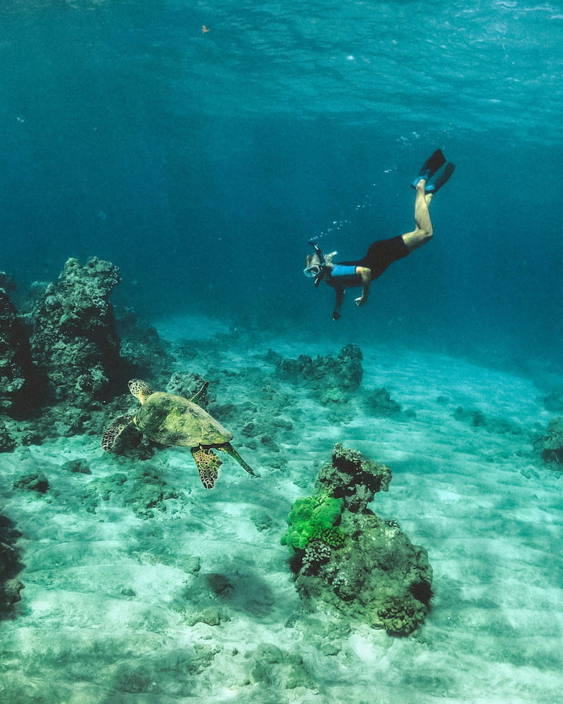 Puerto Viejo Puerto Viejo