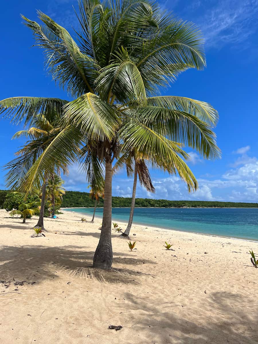 Puerto Rico Puerto Rico