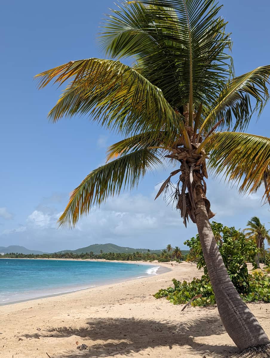 Vieques, Puerto Rico Vieques, Puerto Rico