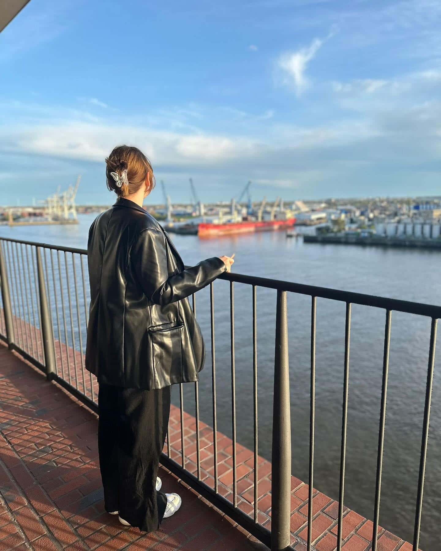 Viewpoint Elphi, Hamburg, Germany Viewpoint Elphi, Hamburg, Germany