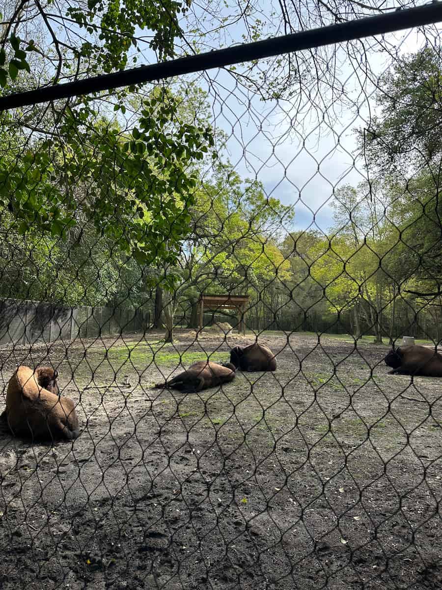 Charlestowne Landing, Charleston Charlestowne Landing, Charleston